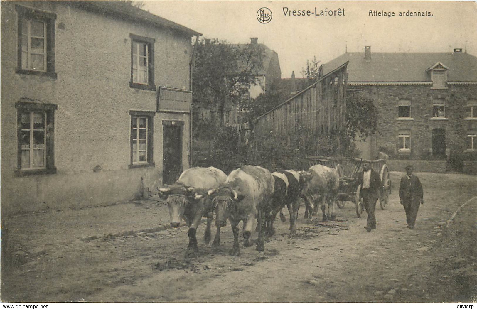 Belgique - Vresse - Vresse-Laforêt - Attelage Ardennais - Vresse-sur-Semois