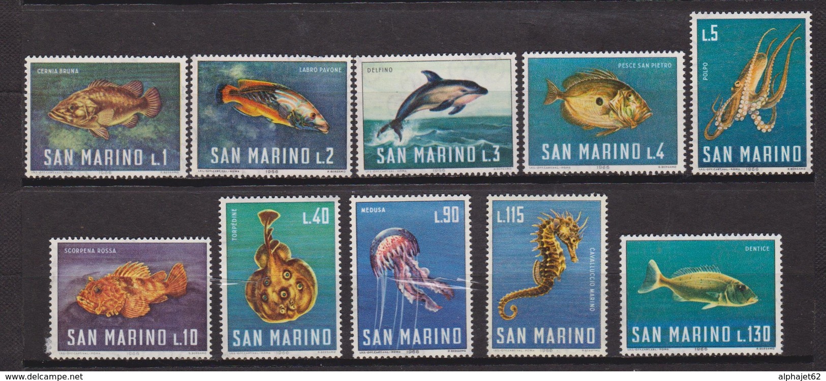 Faune Marine - SAN MARINO - SAINT MARIN - Dauphin, Saint Pierre, Poulpe, Rascasse - N° 676 à 685 ** - 1966 - Nuevos