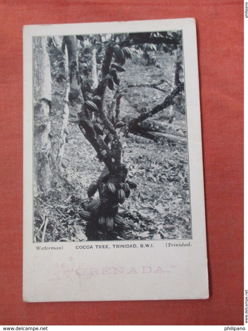 Cocoa Tree   Trinidad   Has Stamp & Cancel      Ref 3761 - Trinidad