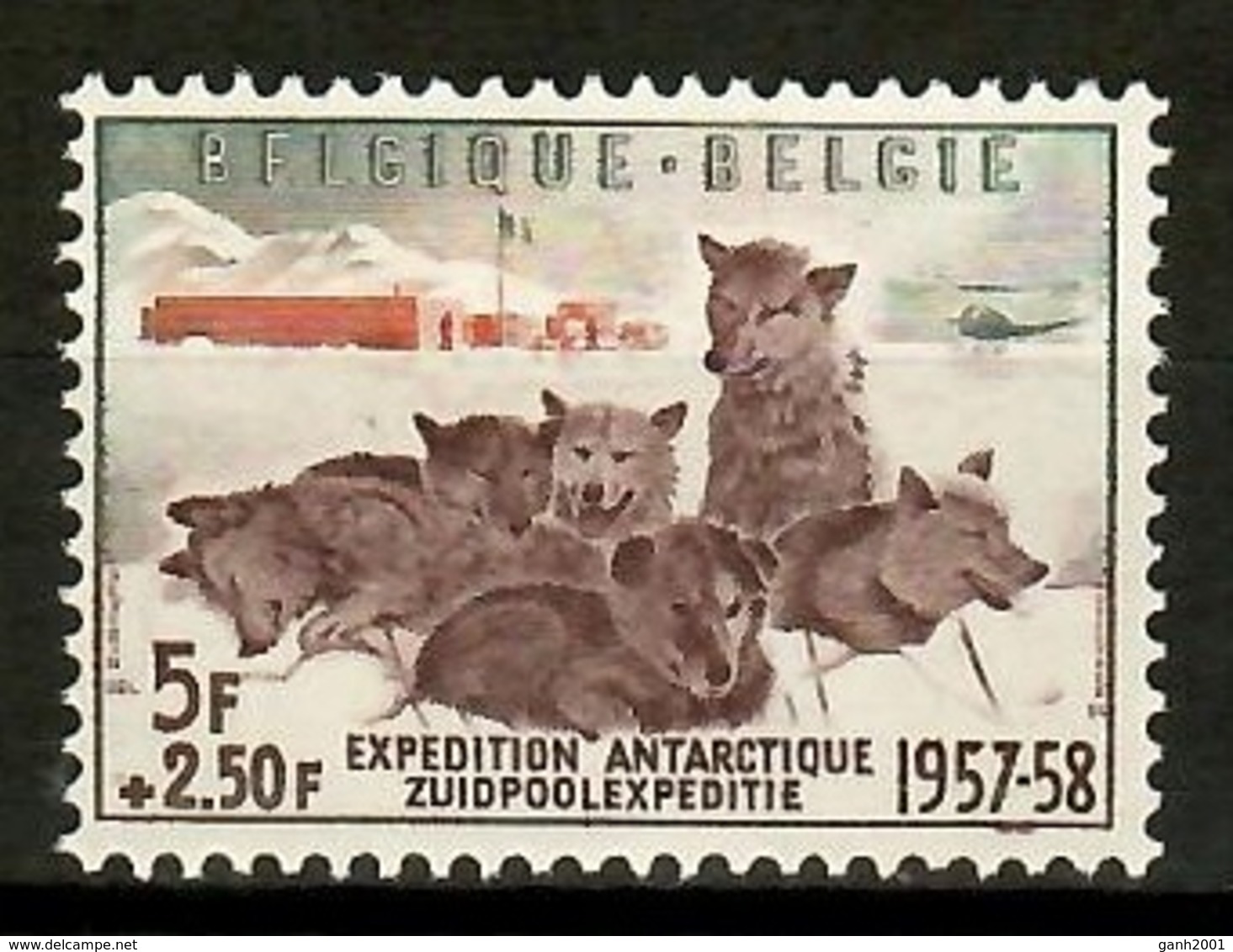 Belgium 1957 Bélgica / Antarctic Exploration Dogs MNH Exploración Antártida Perros Hunde / Cu13226  1-59 - Expediciones Antárticas