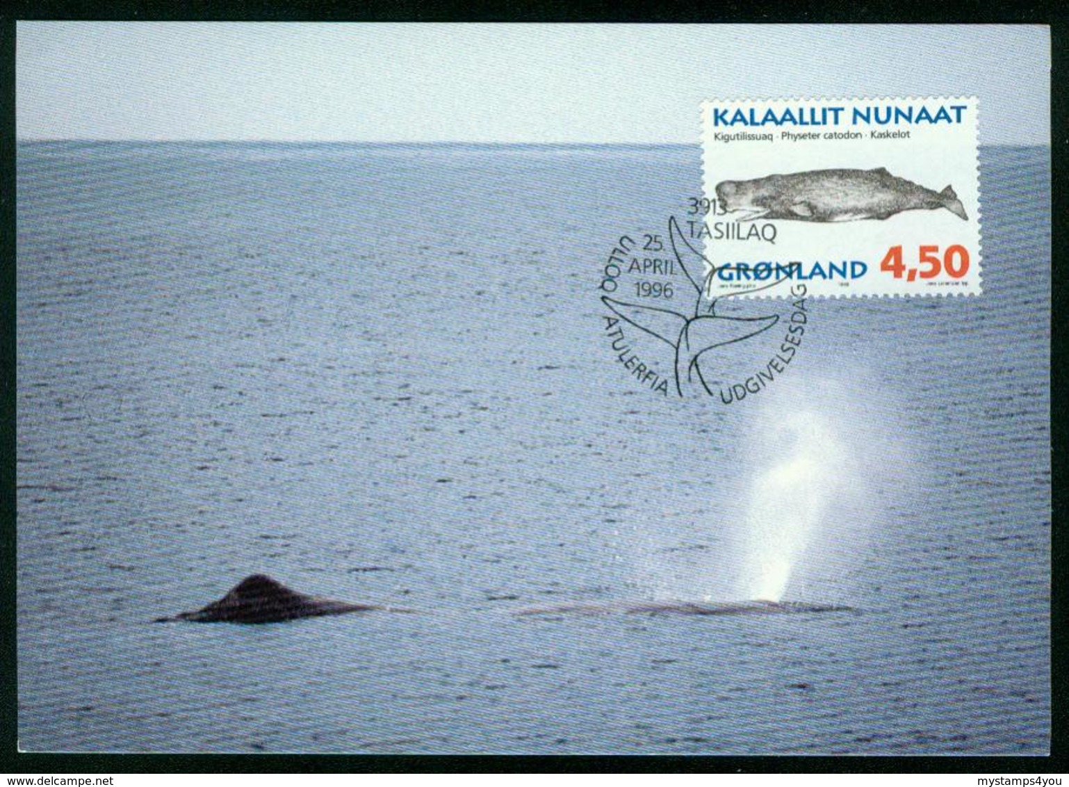 Mk Greenland Maximum Card 1996 MiNr 290 Y | Whales, Sperm Whale - Cartes-Maximum (CM)