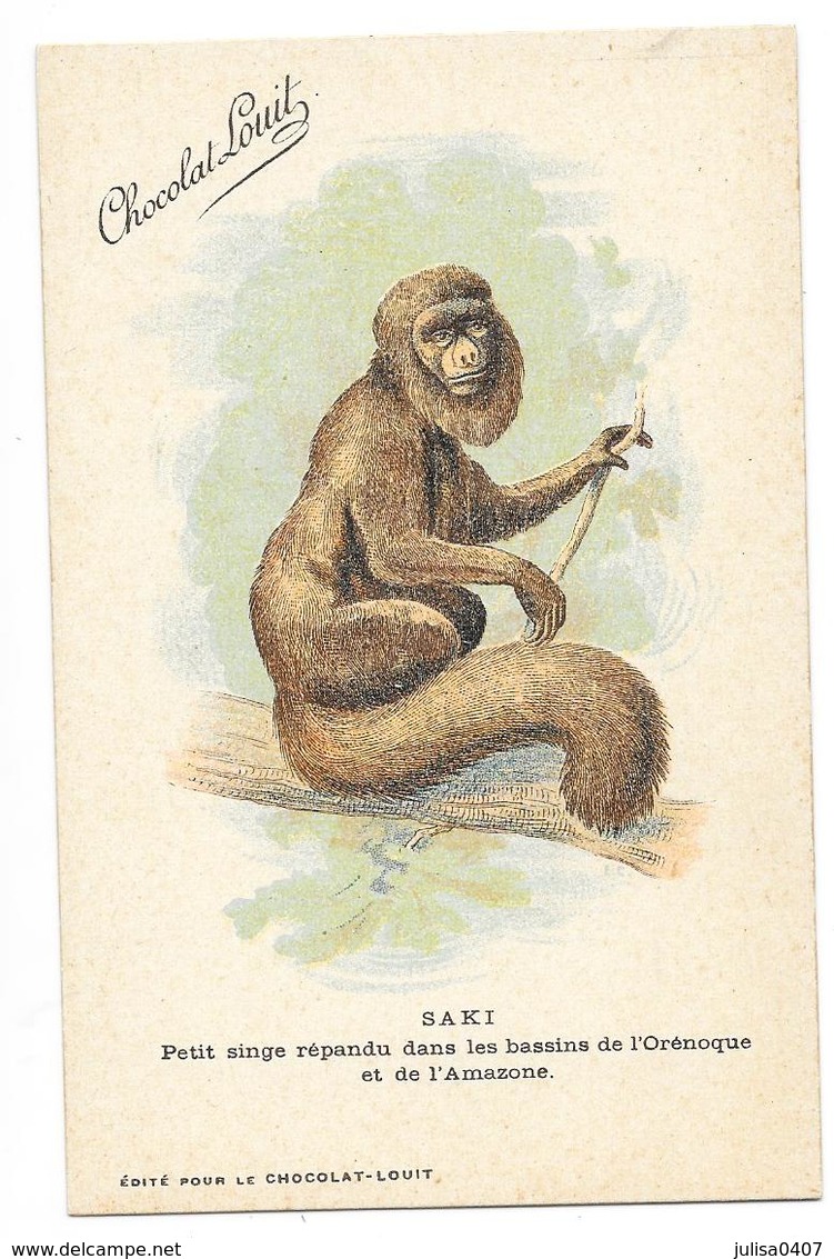 CHOCOLAT LOUIT Carte Illustrée Singe SAKI Bassins De L'Orenoque Et De L'Amazone - Singes