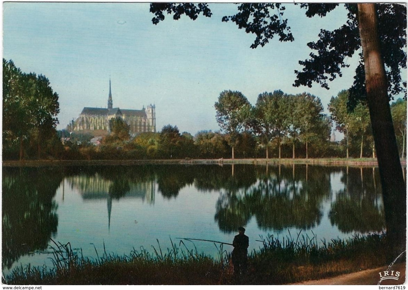 80  Amiens  La Cathedrale  Vue De L'etang Saint Pierre - Amiens