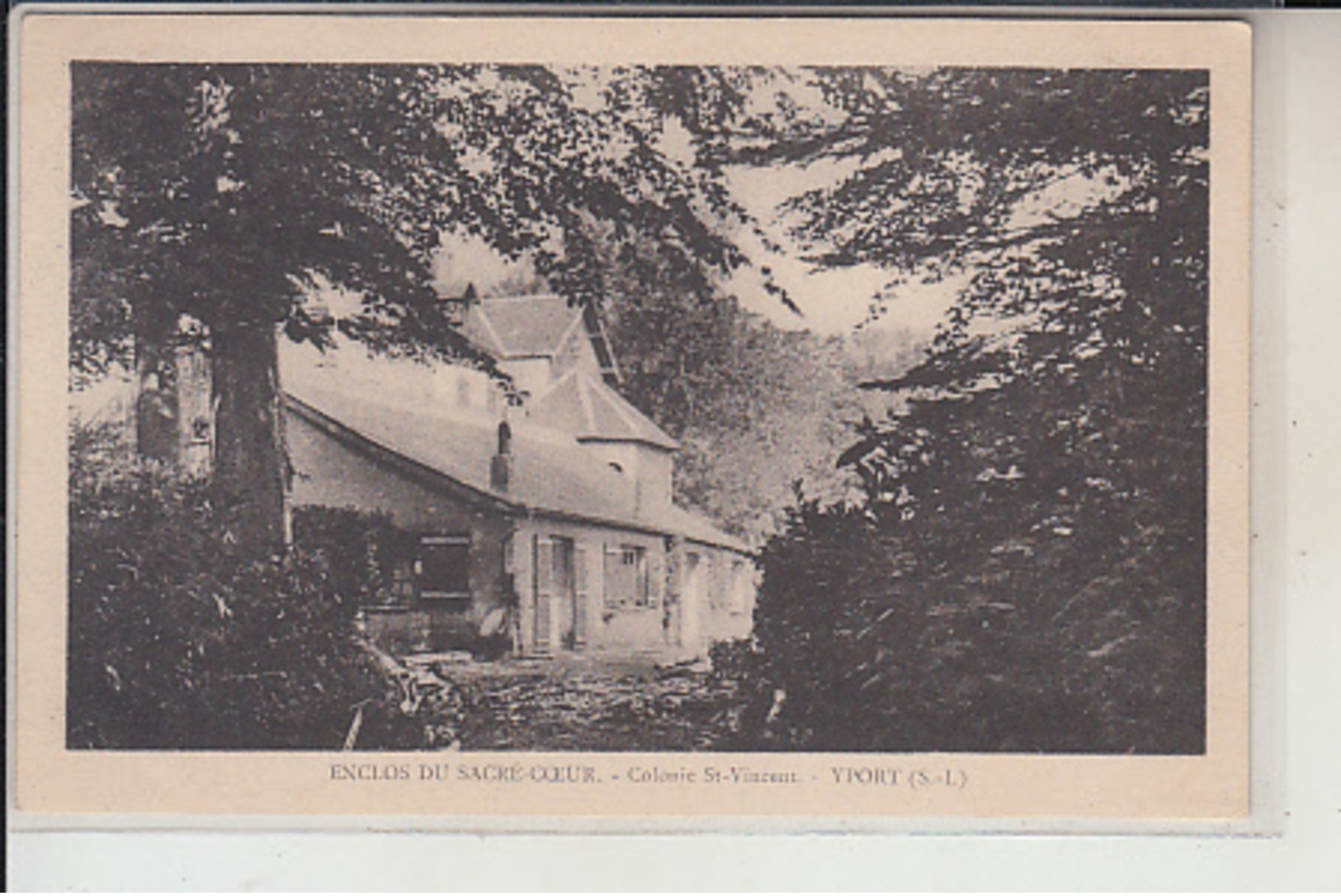 76  - YPORT -  Colonie  St Vincent Dans Les Bois - Yport