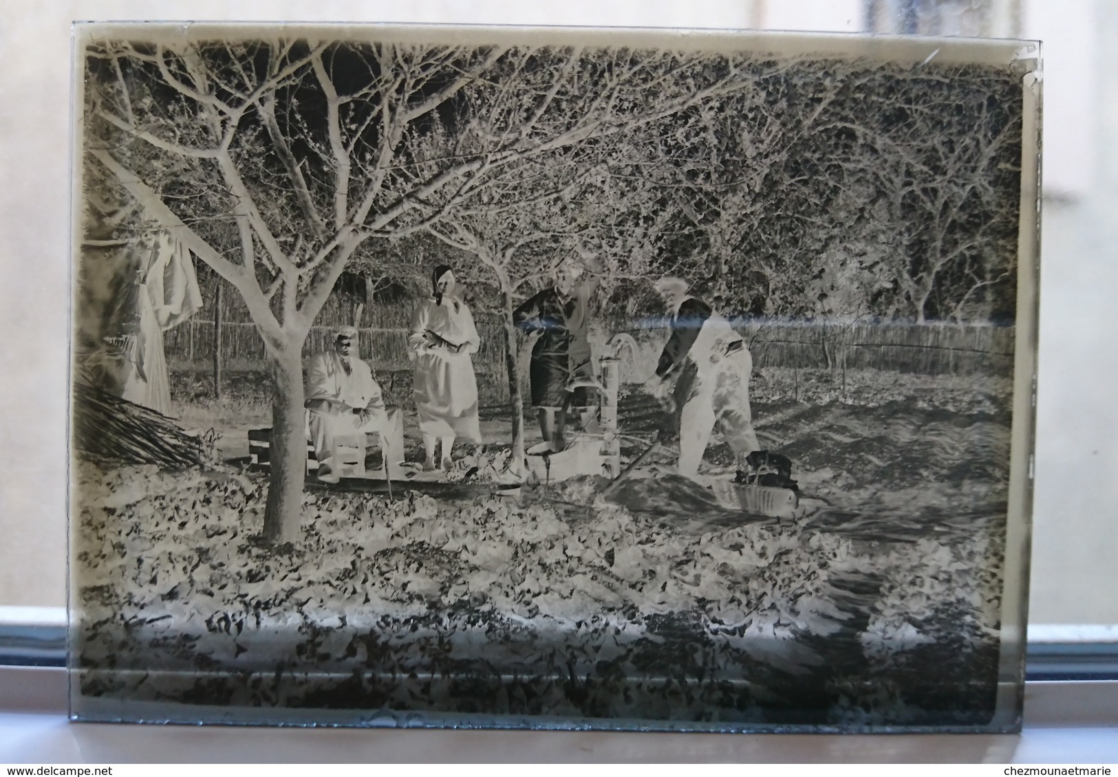 AU JARDIN DANS LE POTAGER - PLAQUE DE VERRE PHOTO 8.5 X 6.5 CM - Glasplaten