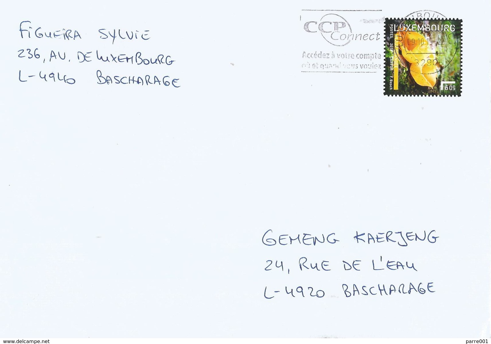 Luxembourg 2019 Orange Peel Fungus Aleuria Aurantia Edible Mushroom Cover - Briefe U. Dokumente