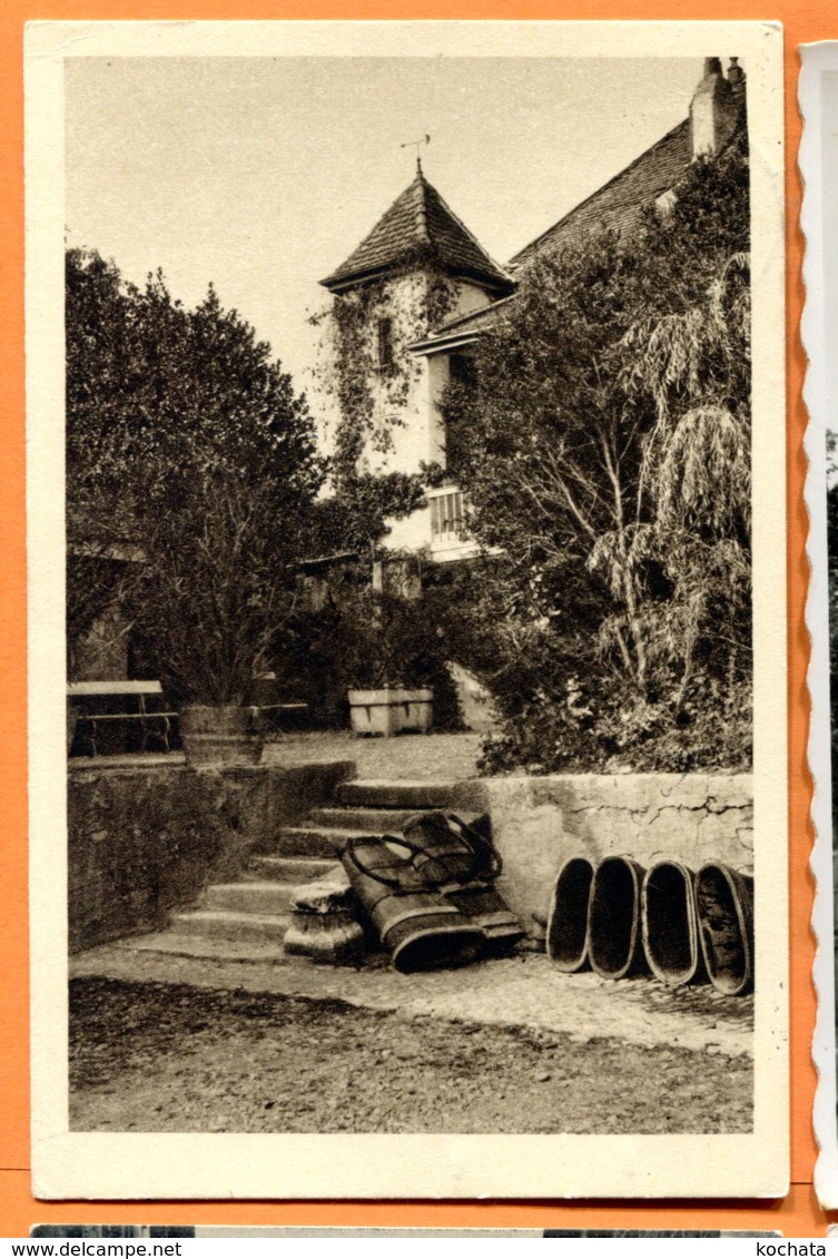 FEL1282, Château De Mont Sur Rolle, Hotte à Vendanges, Vin,raisin, Circulée 1948 - Mont-sur-Rolle 