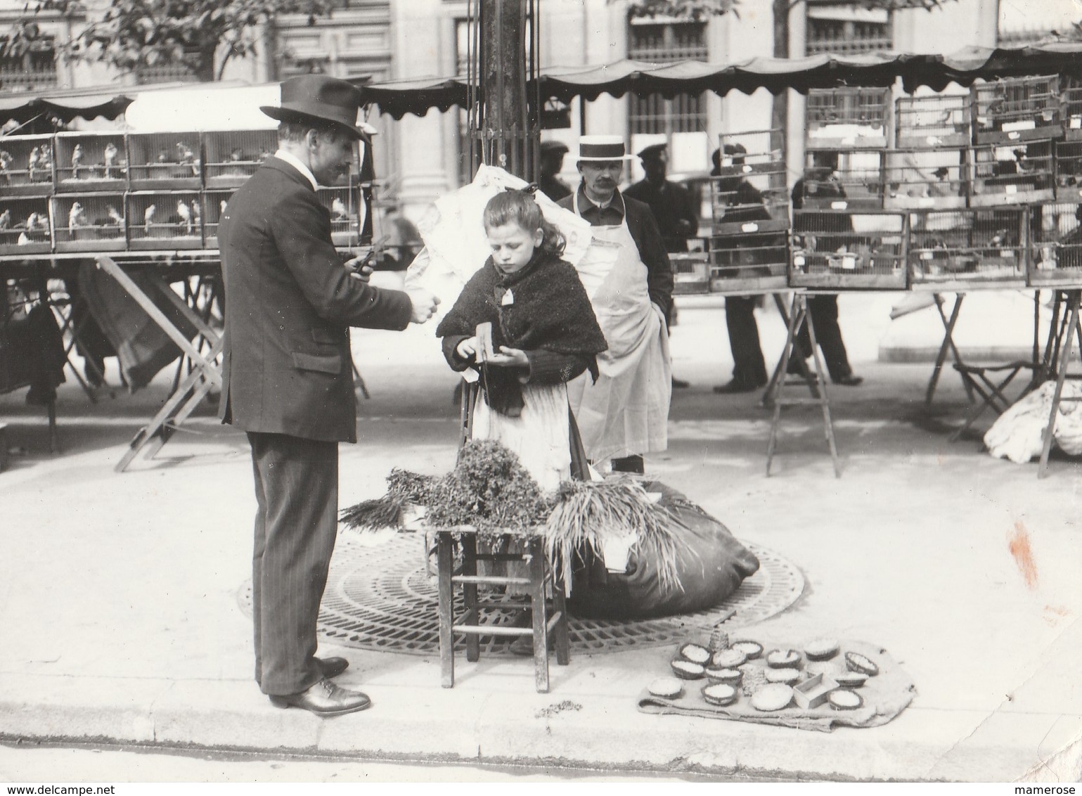 PARIS 1900. Du Mourron Pour Les Petits Oiseaux. Petite Vendeuse. Marché Aux Oiseaux. - Petits Métiers à Paris