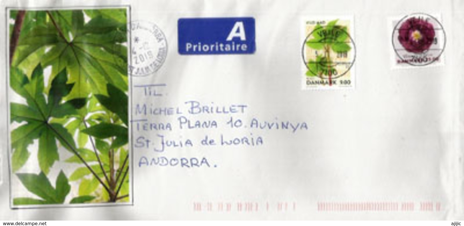 Le Persil, Nouveau Timbre Danemark, Sur Lettre, Adressée Andorra, Avec Timbre à Date Arrivée - Lettere