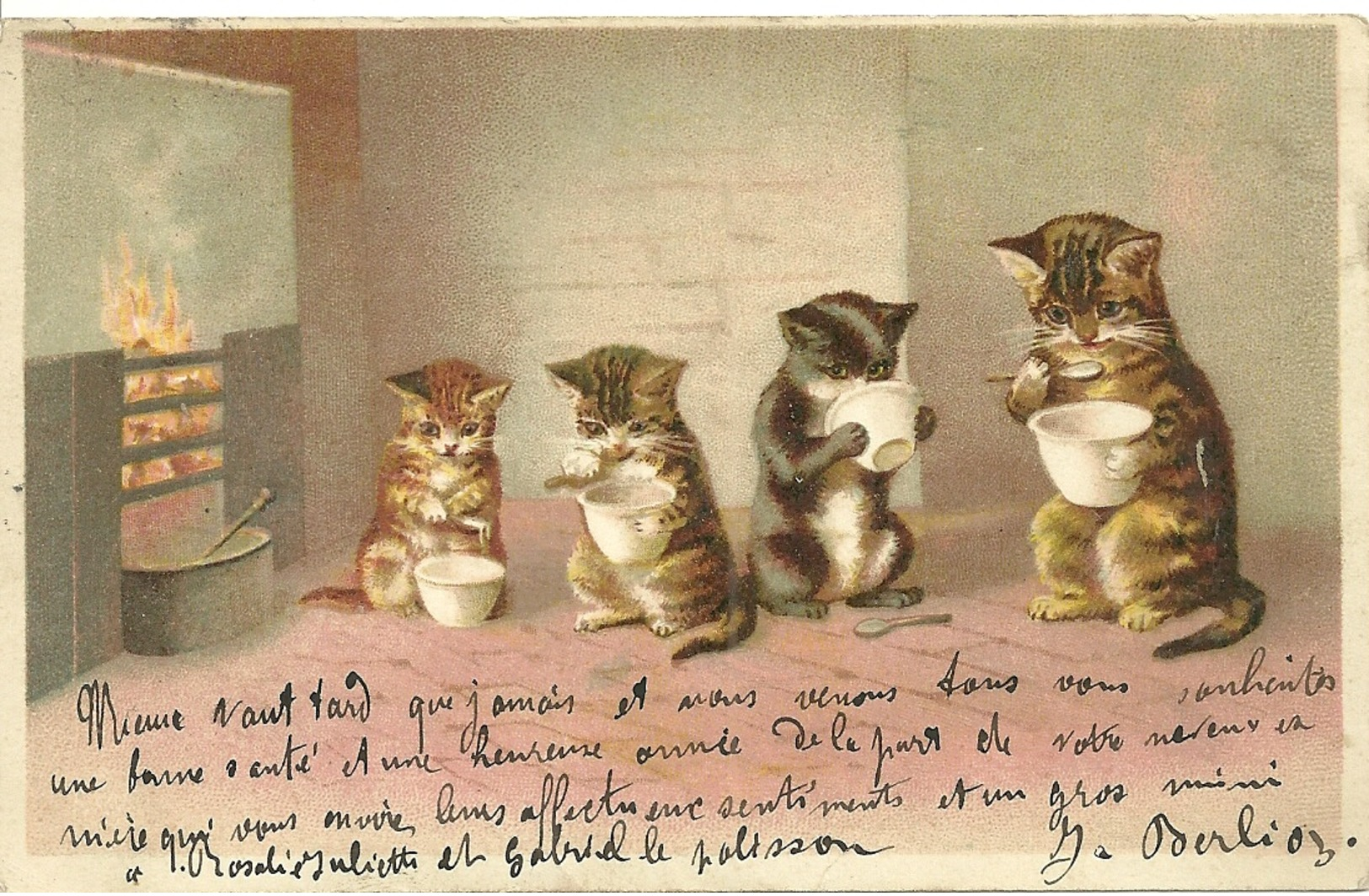 Chats - Chatons - Katten