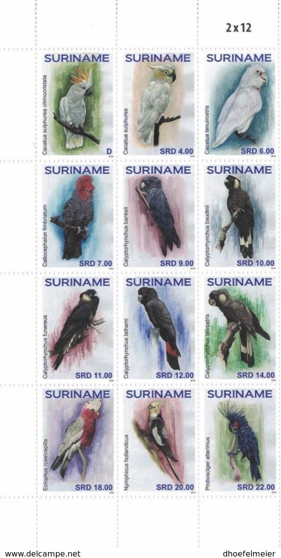 SURINAME 2019 MNH Parrots Papageien Perroquets 12v - OFFICIAL ISSUE - DH1941 - Alimentazione