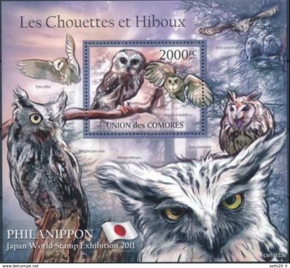 Comores 2011 Birds Oiseaux Chouettes Owls Hiboux  MNH - Hiboux & Chouettes