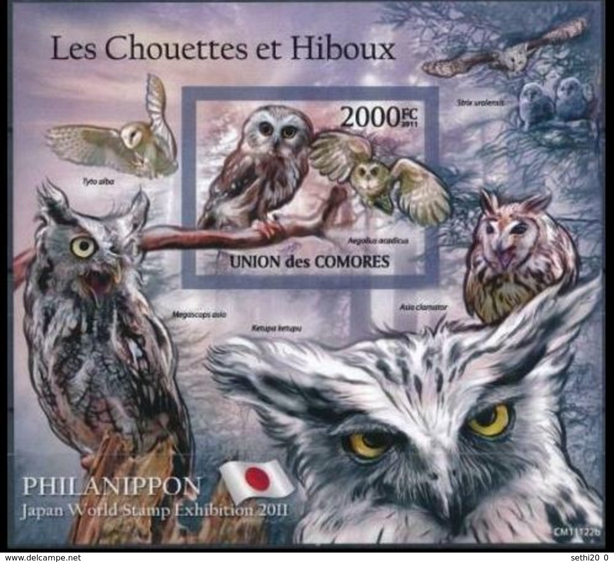 Comores 2011 Birds Oiseaux Chouettes Owls Hiboux Imperf MNH - Hiboux & Chouettes