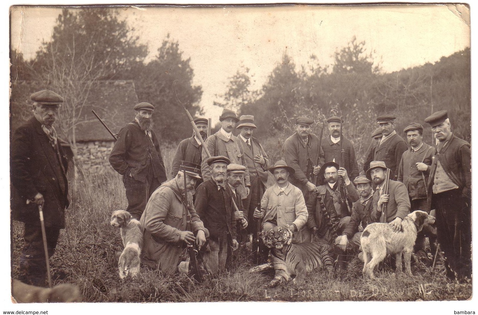 EPERNON - Carte Photo, La Tigresse De DROUE - Epernon