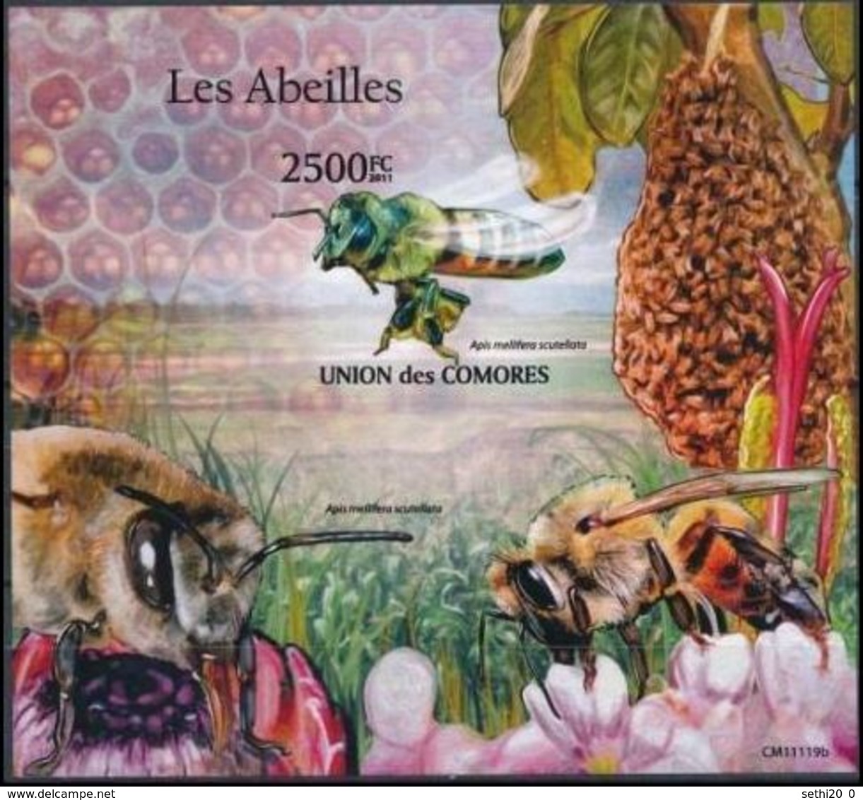 Comores 2011 Bees Abeilles Imperf MNH - Abeilles