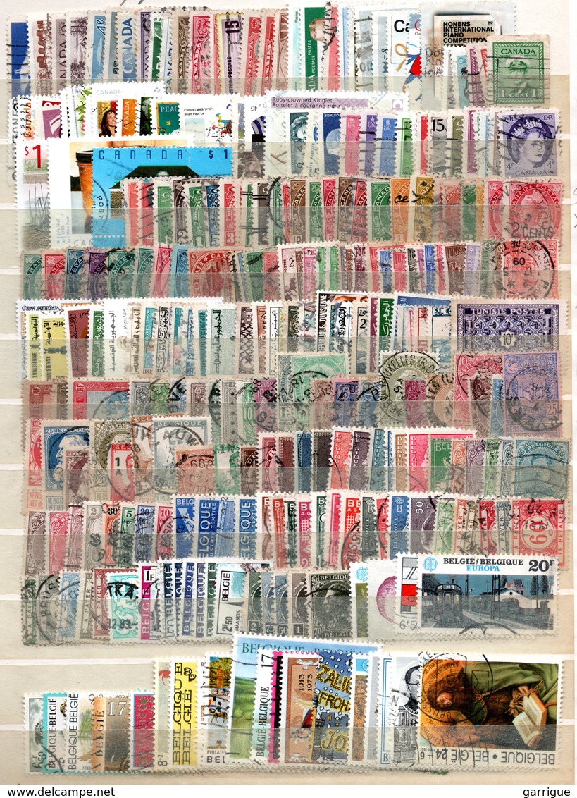 MONDE ENTIER Sauf France :  5000 Timbres Différents - Vrac (min 1000 Timbres)