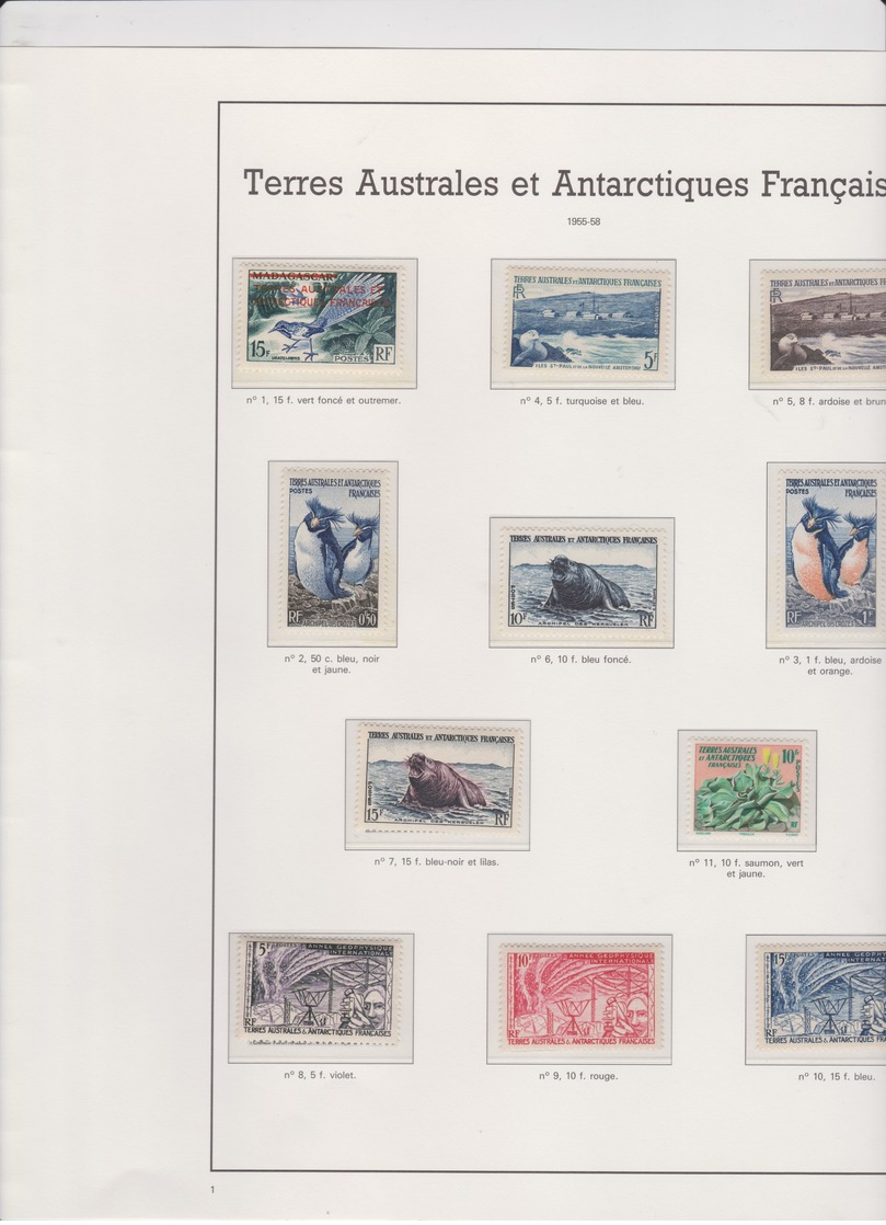 TAAF Années 1955 1956 1957 1958 Complètes 11 T Neufs Xx N°YT 1 à 11 - Annate Complete