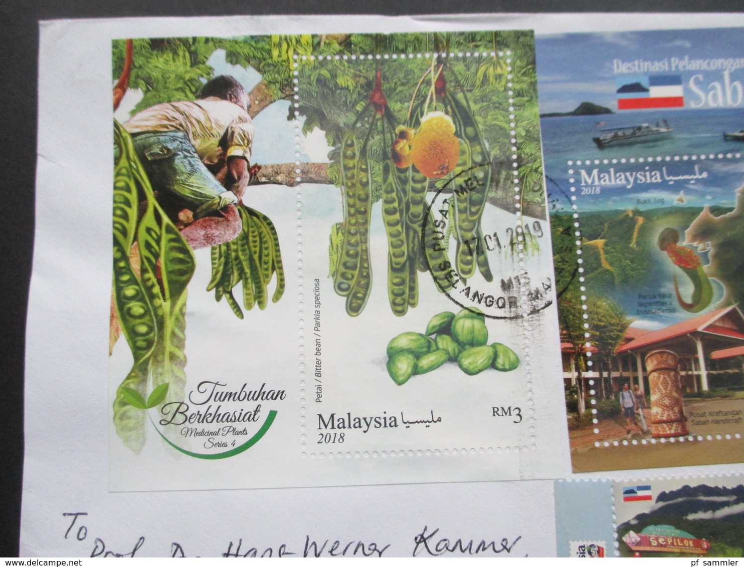 Asien Malaysia 2018 Luftpost Beleg Mit 2 Blocks Schöne Motive Früchte Und Insel Sabah - Malesia (1964-...)