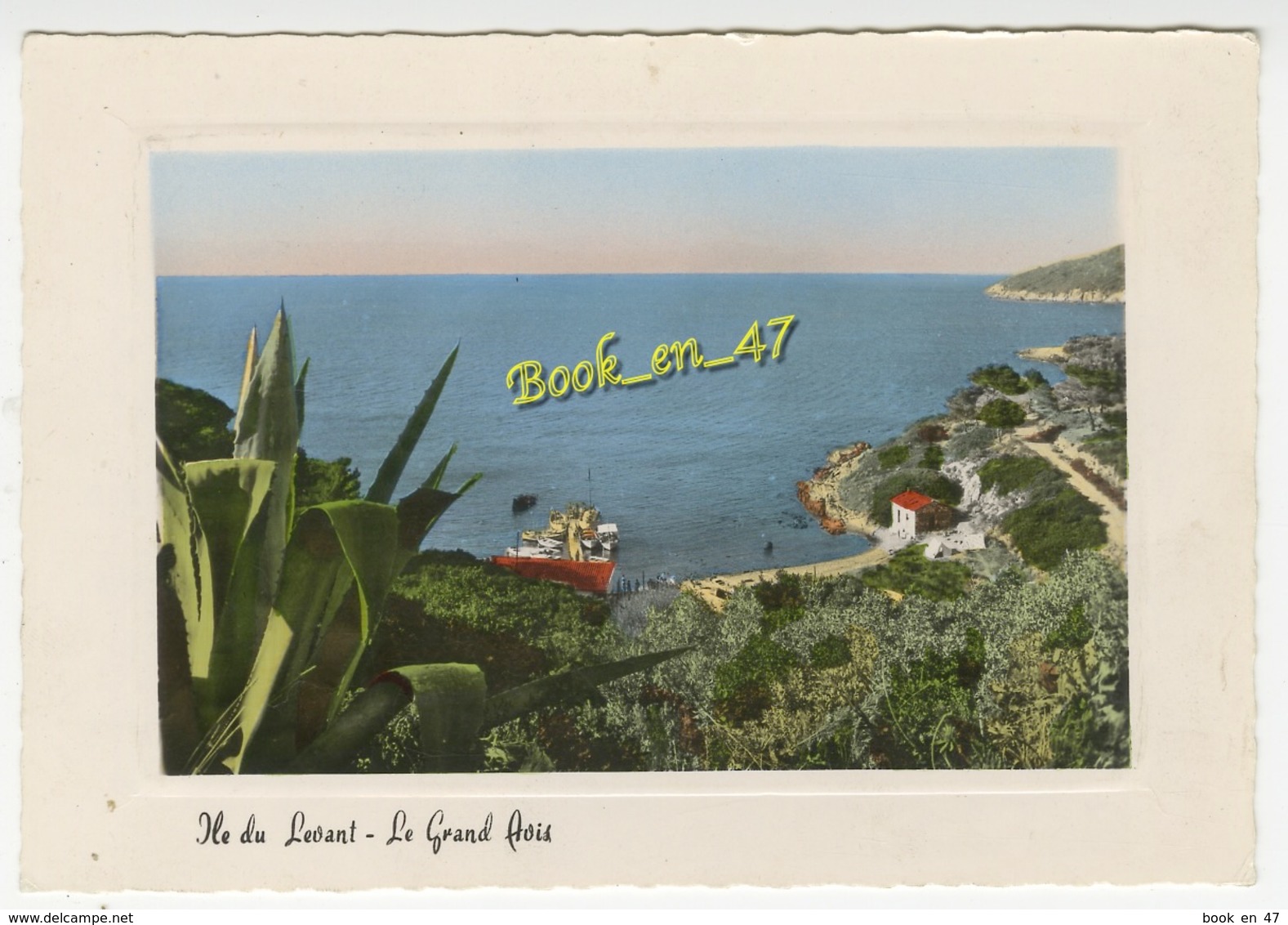 {37796} 83 Var Ile Du Levant , Le Grand Avis - Autres & Non Classés