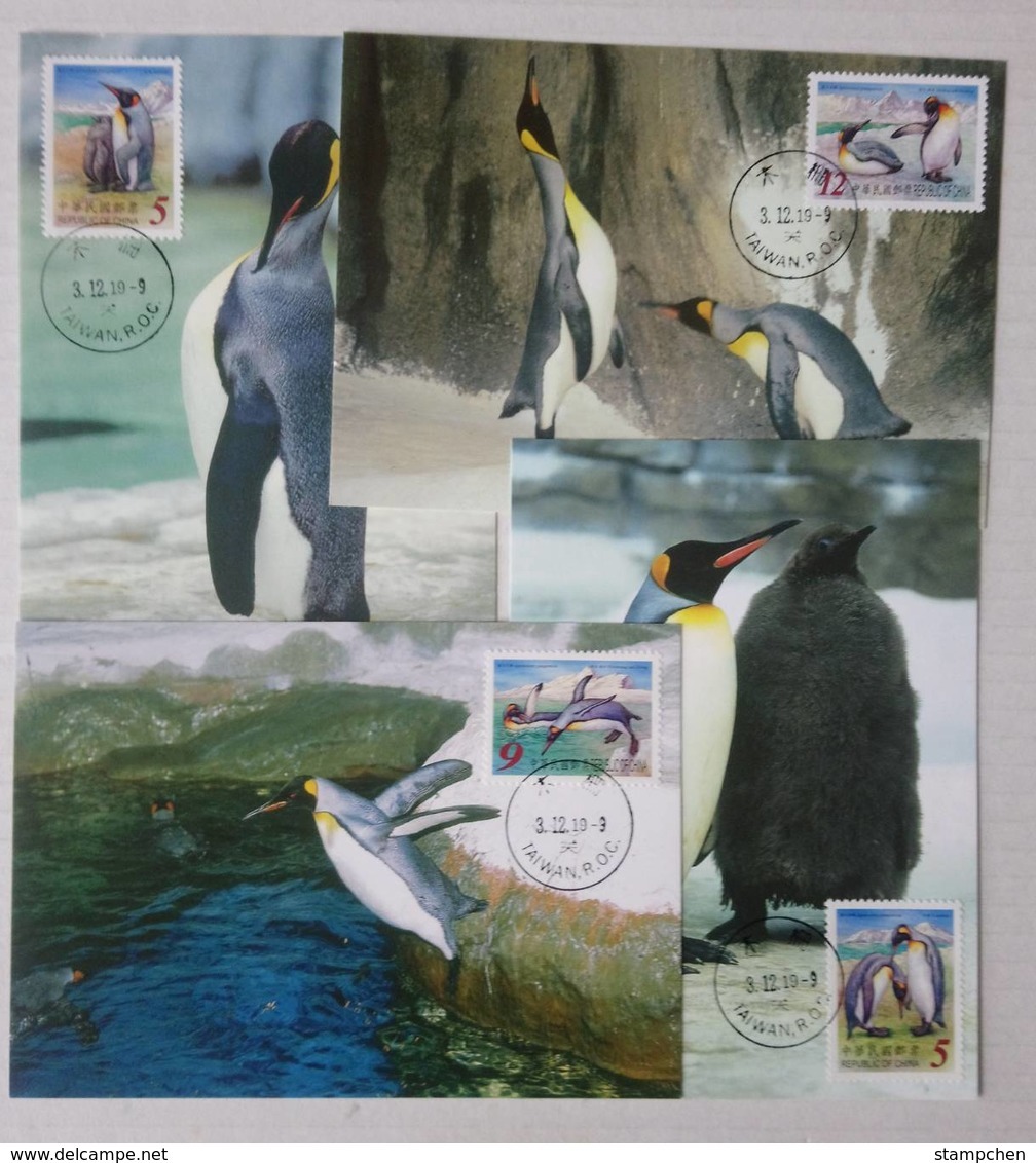 Maxi Cards Of 2006 Cute Animal - King Penguin Stamps - Pinguïns & Vetganzen