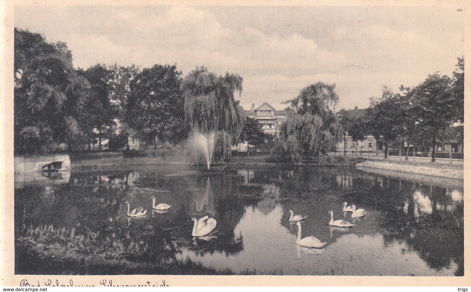 Bad Salzelmen - Schwanenteich - Schönebeck (Elbe)