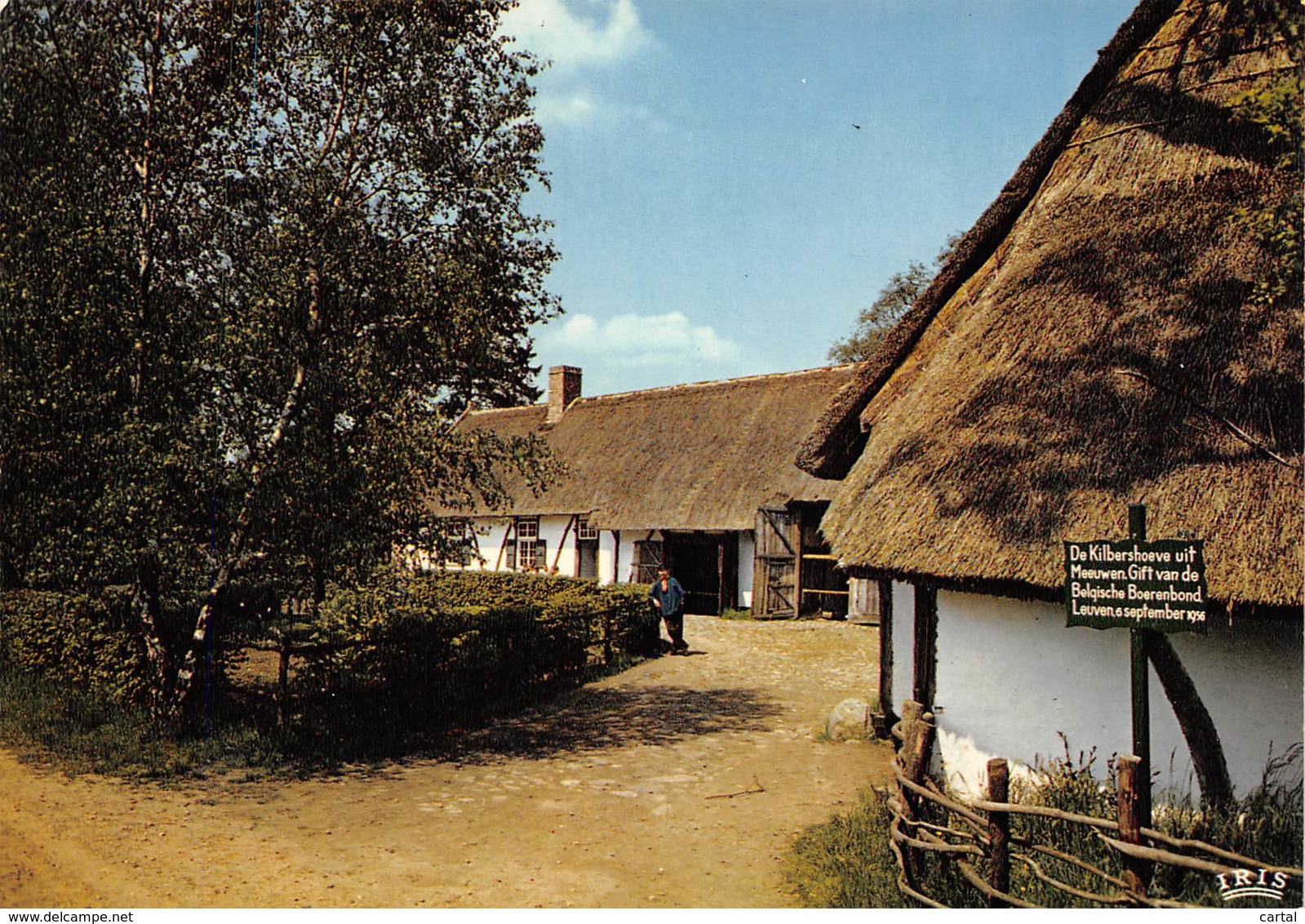 CPM - Provinciedomein BOKRIJK - Openluchtmuseum - Grote Kempische Hoeve Uit Meeuwen, Genoemd "Kilbershoeve" - Genk