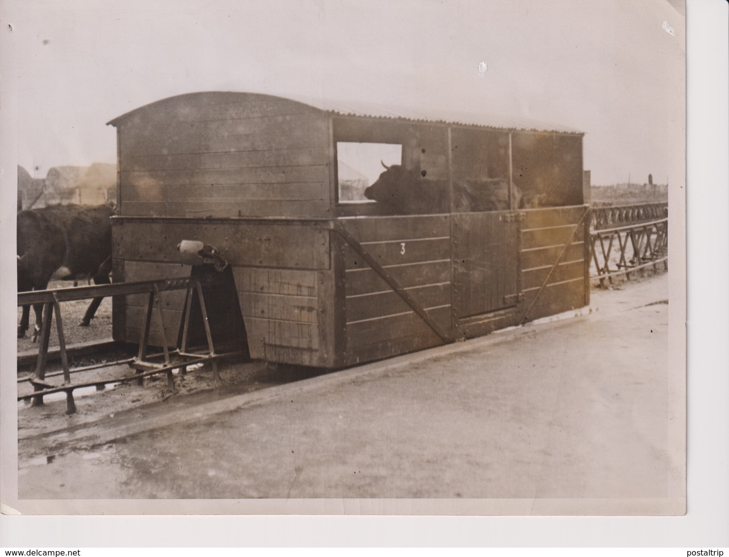 QUAINTEST RAILWAY BALLYBUNION IRELAND DUBLIN COURT TRAIN TREN CHEMIN DE FER 20*15CM Fonds Victor FORBIN 1864-1947 - Trenes