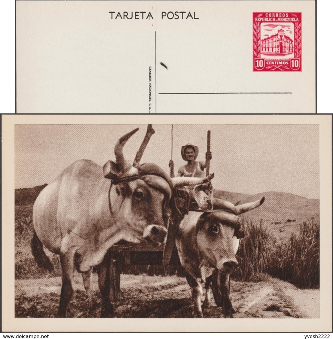 Venezuela 1963. Entier Illustré Officiel.  Charrette à Bœufs. Agriculteur Avec Bêtes à Cornes - Vaches