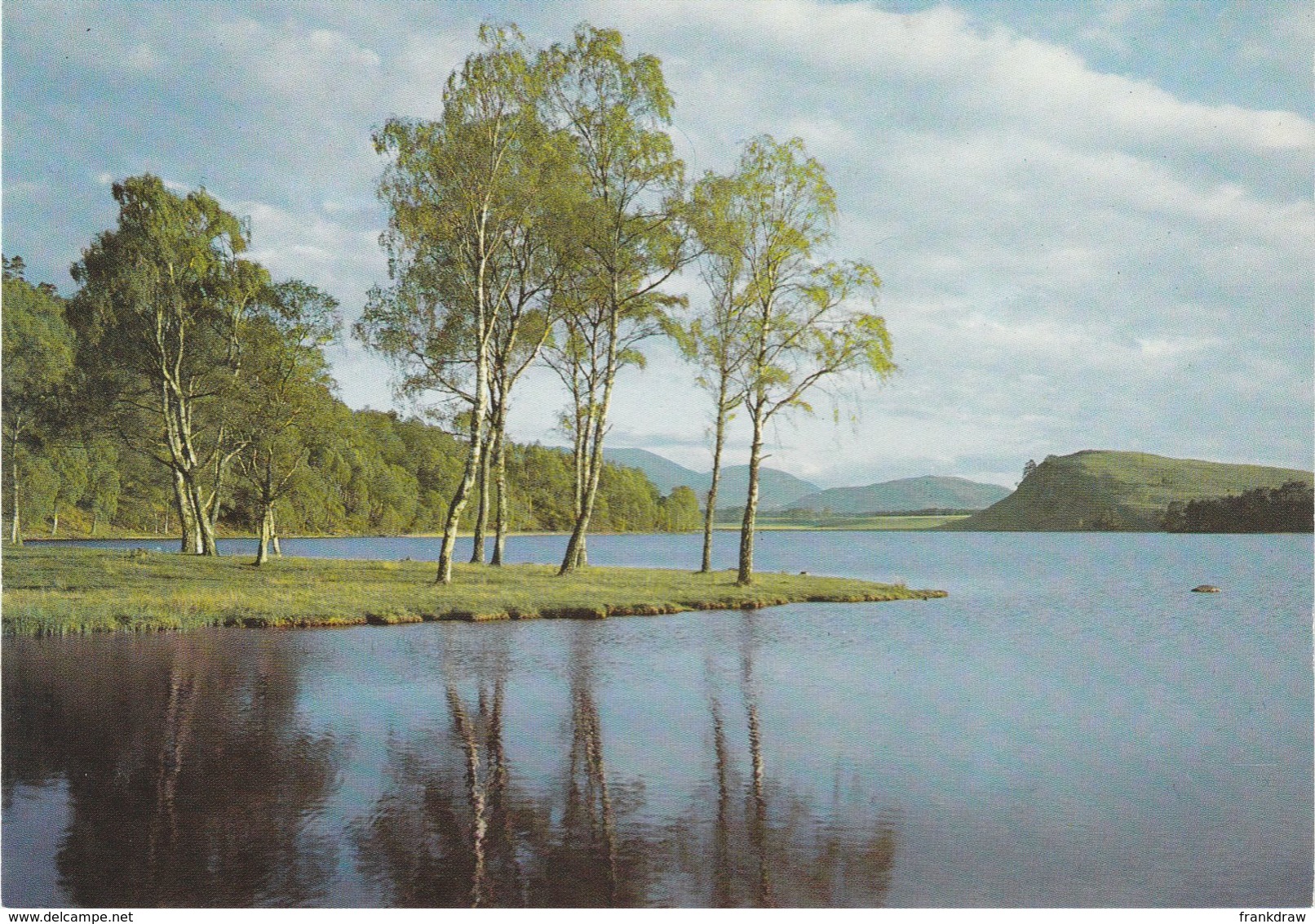 Postcard - Inverness - Shire - Silver Birches By Loch Pityoulish - Card No.85485 Unused Very Good - Unclassified
