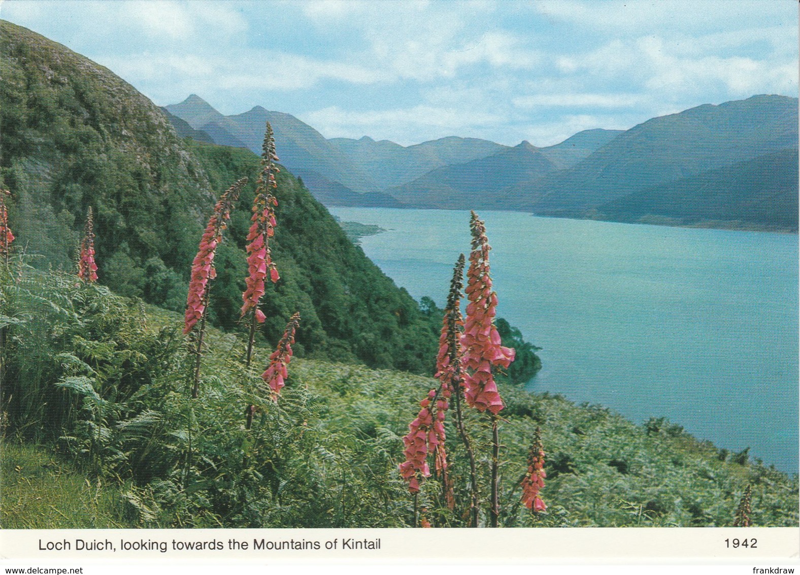 Postcard - Loch Duich, Looking Towards The Mountains Of Kintail Card No..1942 Unused Very Good - Unclassified