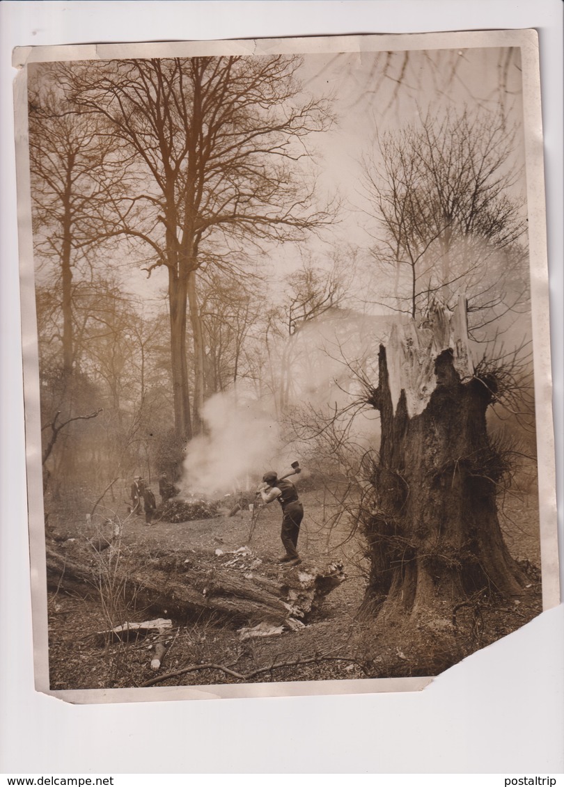 SEE RIGHT CORNER LONDON PARK CHISWICK HOUSE  Xylology Forestry 25*20CM Fonds Victor FORBIN 1864-1947 - Otros & Sin Clasificación