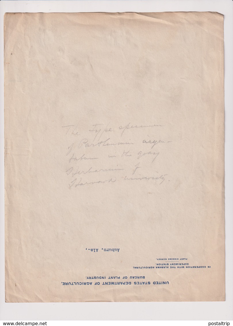 UNITED STATES DEPARTMENT OF AGRICULTURE BUREAU OF PLANT INDUSTRY Xylology Forestry 22*16CM Fonds Victor FORBIN 1864-1947 - Otros & Sin Clasificación