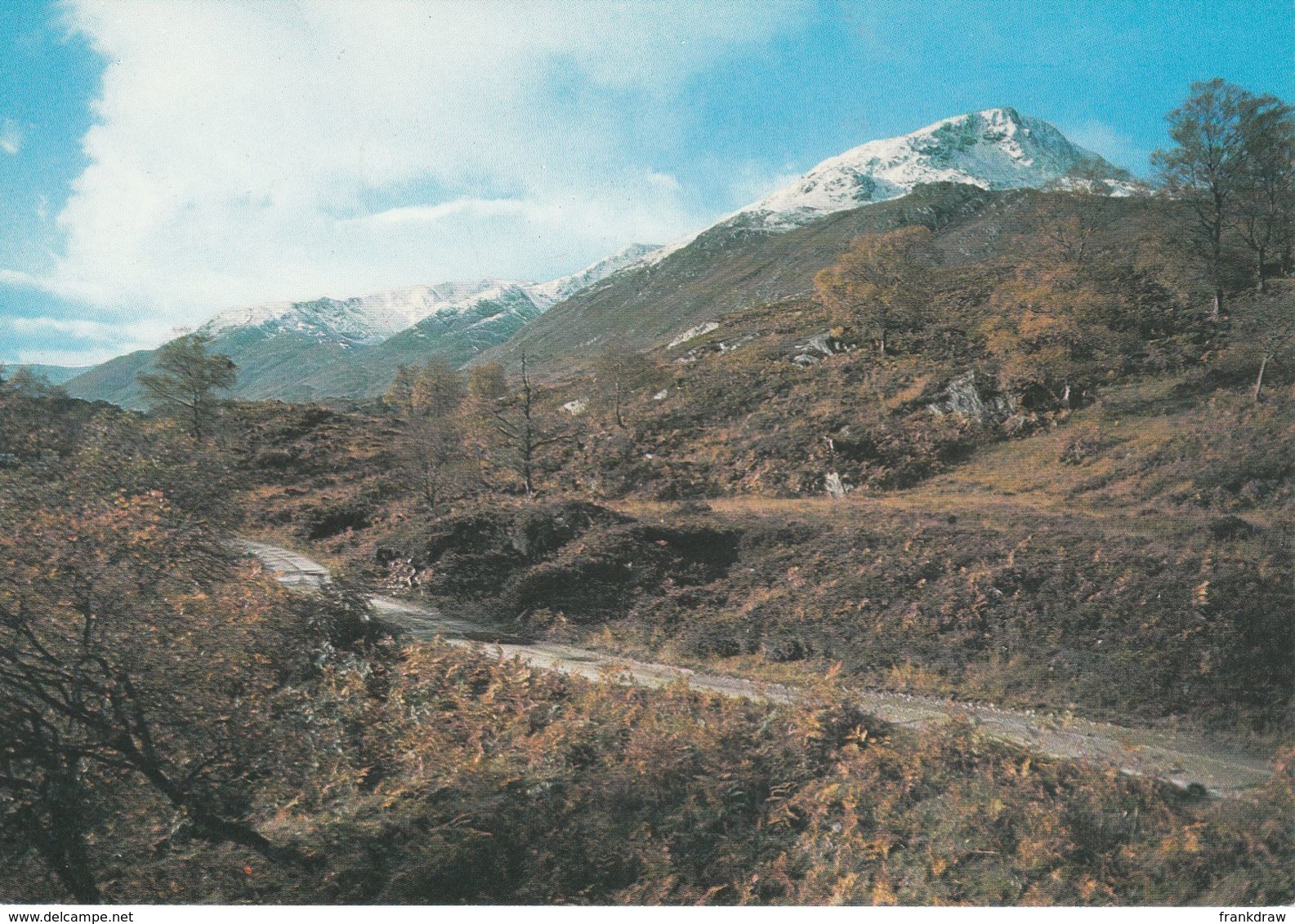 Postcard - Glen Affric In Autume, Inverness - Shire - Card No..85497 Unused Very Good - Unclassified