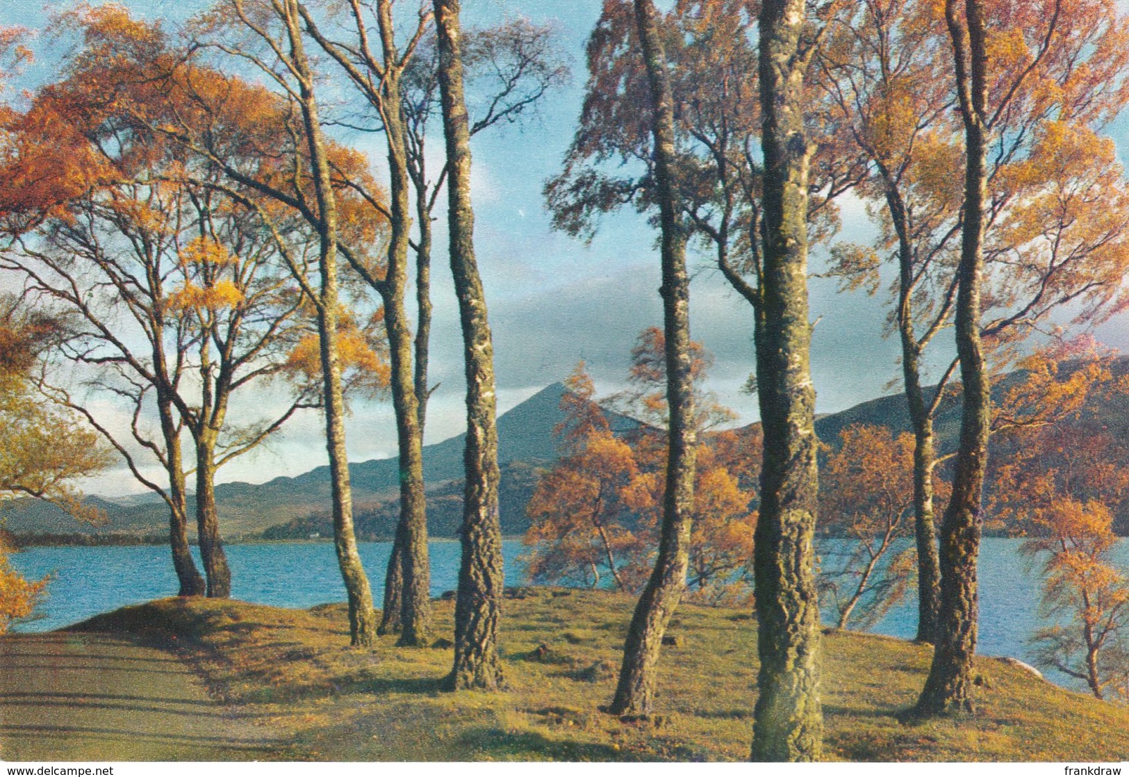 Postcard - The Shores Of Loch Rannoch, Perthshire, Scotland - Card No.3457 Unused Very Good - Unclassified