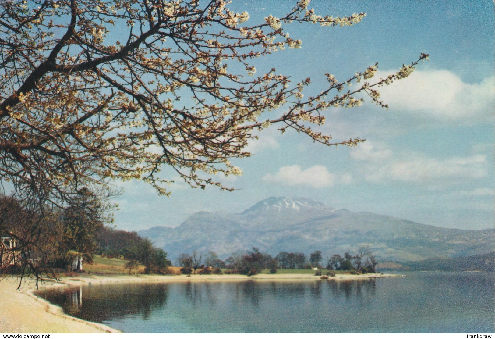 Postcard - Loch Lomond And Ben Lomond - Card No..3415g Unused Very Good - Unclassified