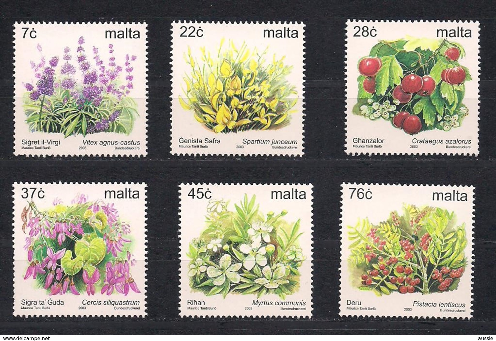 Malta Malte 2003 Yvertn° 1222-1227 *** MNH Cote 14,50 Euro Flore Fleurs Bloemen Flowers - Malta