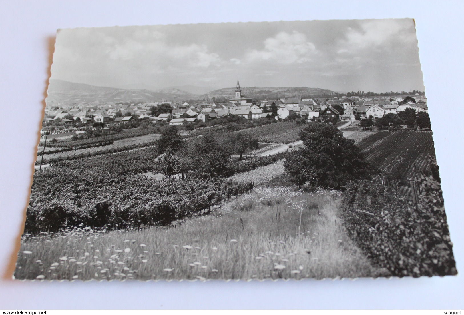 Wintzen Heim - Vue Générale - Wittenheim