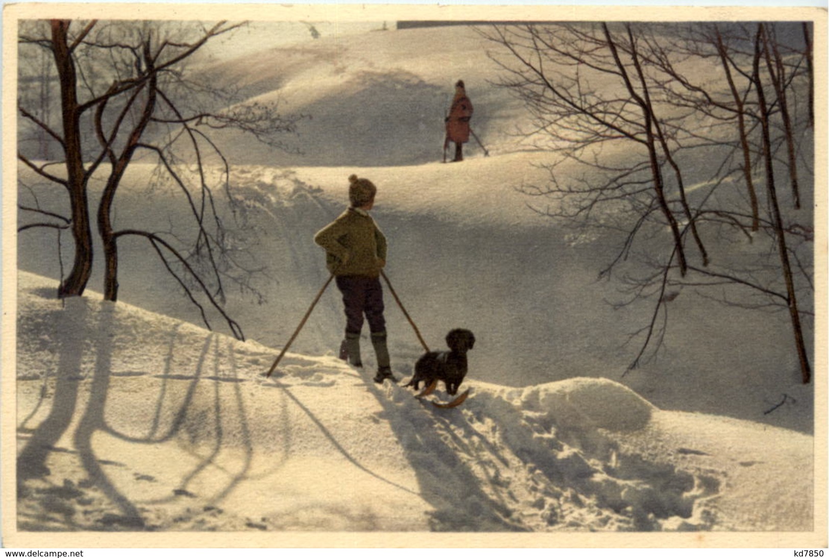 BGute Kamerade - Klopfenstein Adelboden - Ski Hund - Adelboden