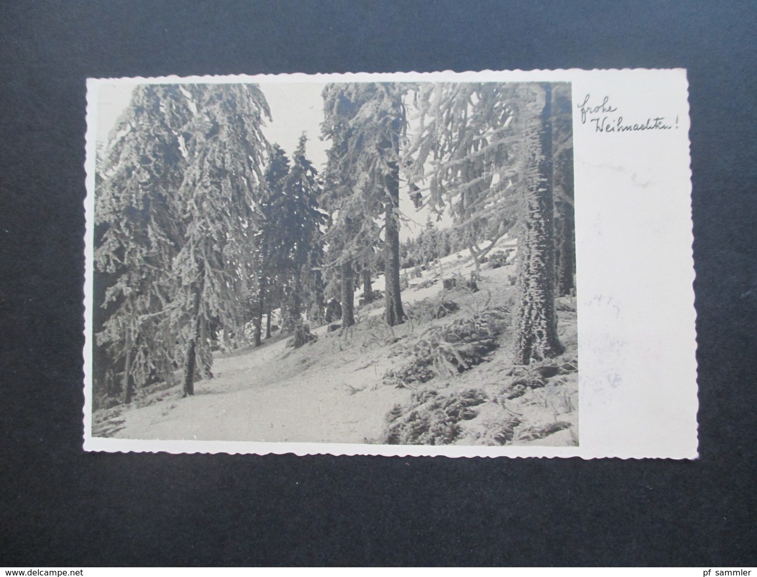 CSSR / Böhmen 1933 Echtfoto AK Verschneiter Wald / Frohe Weihnachten Zweisprachiger Stempel Cheb 2 / Eger 2 - Covers & Documents