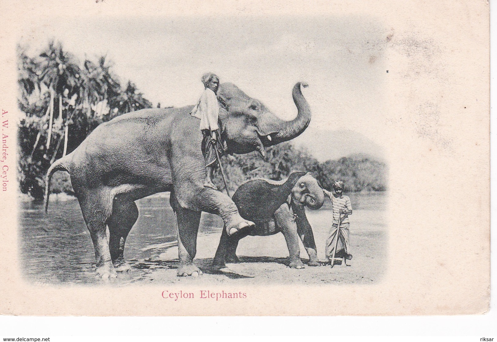 CEYLON(TYPE) ELEPHANT - Sri Lanka (Ceylon)