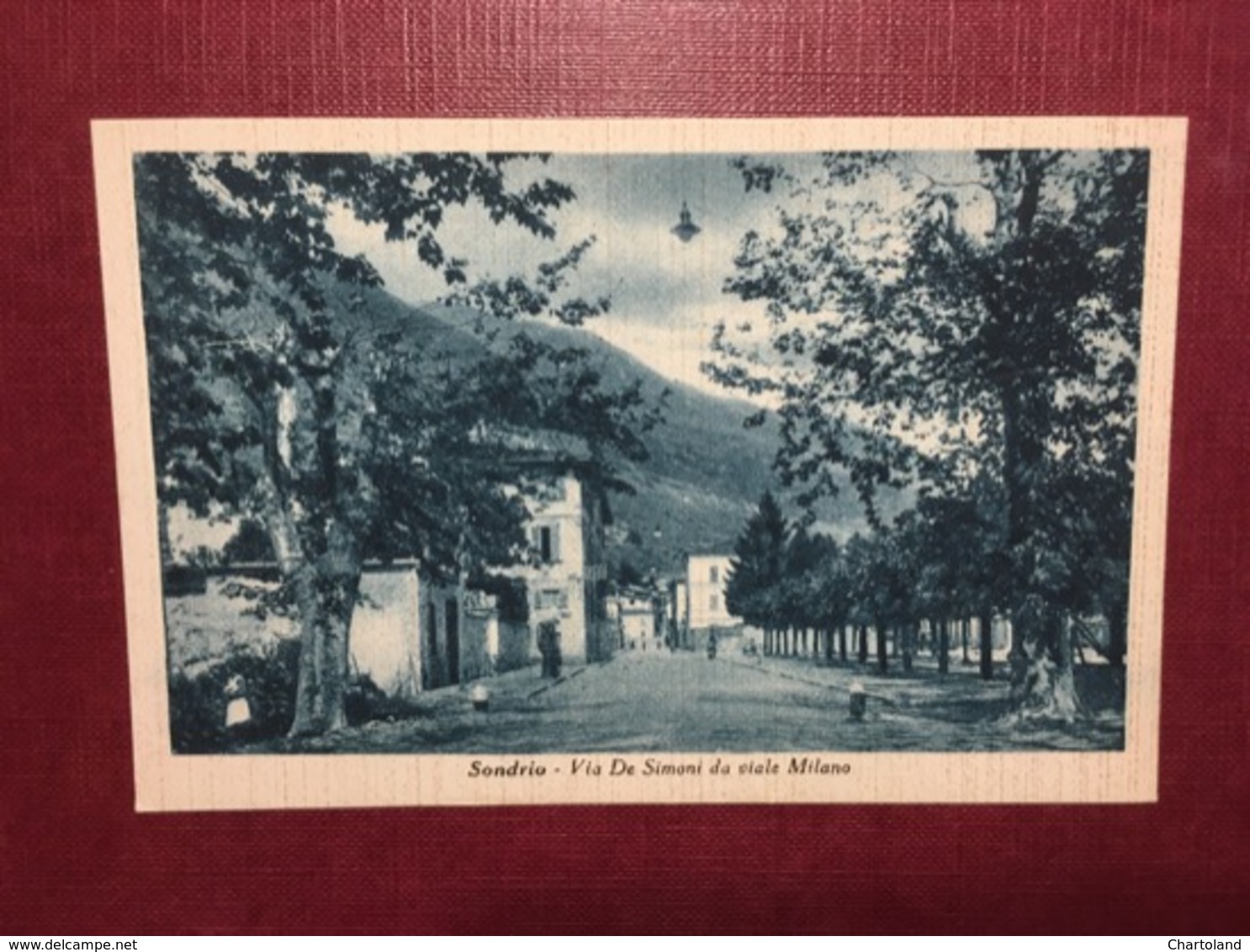 Cartolina Sondrio - Via De Simoni Da Viale Milano - 1930 Ca. - Sondrio