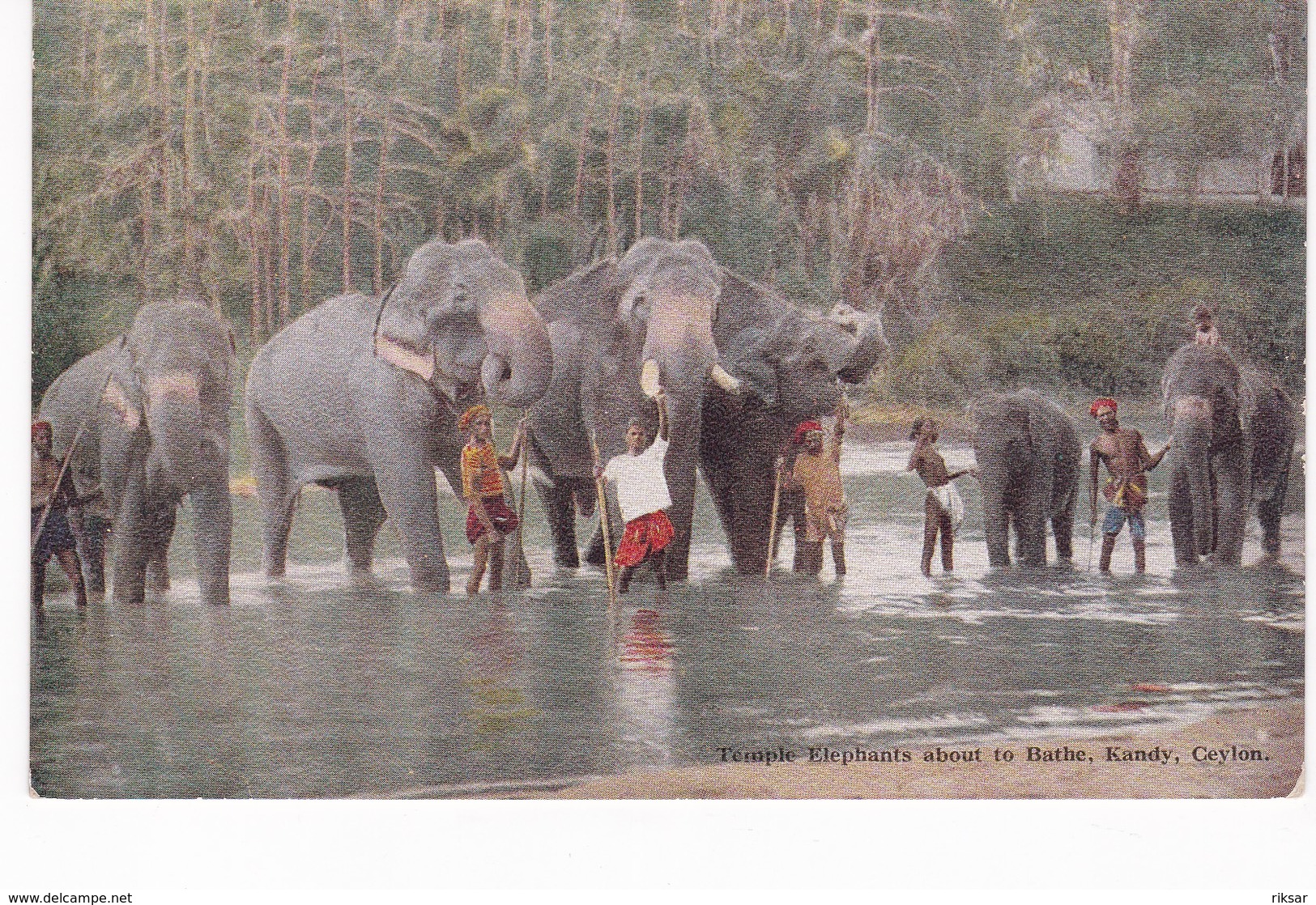CEYLON(TYPE) ELEPHANT - Sri Lanka (Ceylon)