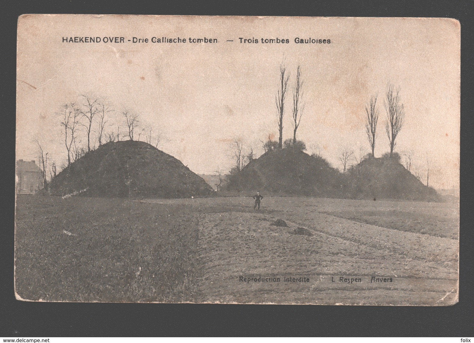 Hakendover / Haekendover - Drie Gallische Tomben / Trois Tombes Gauloises - Tienen