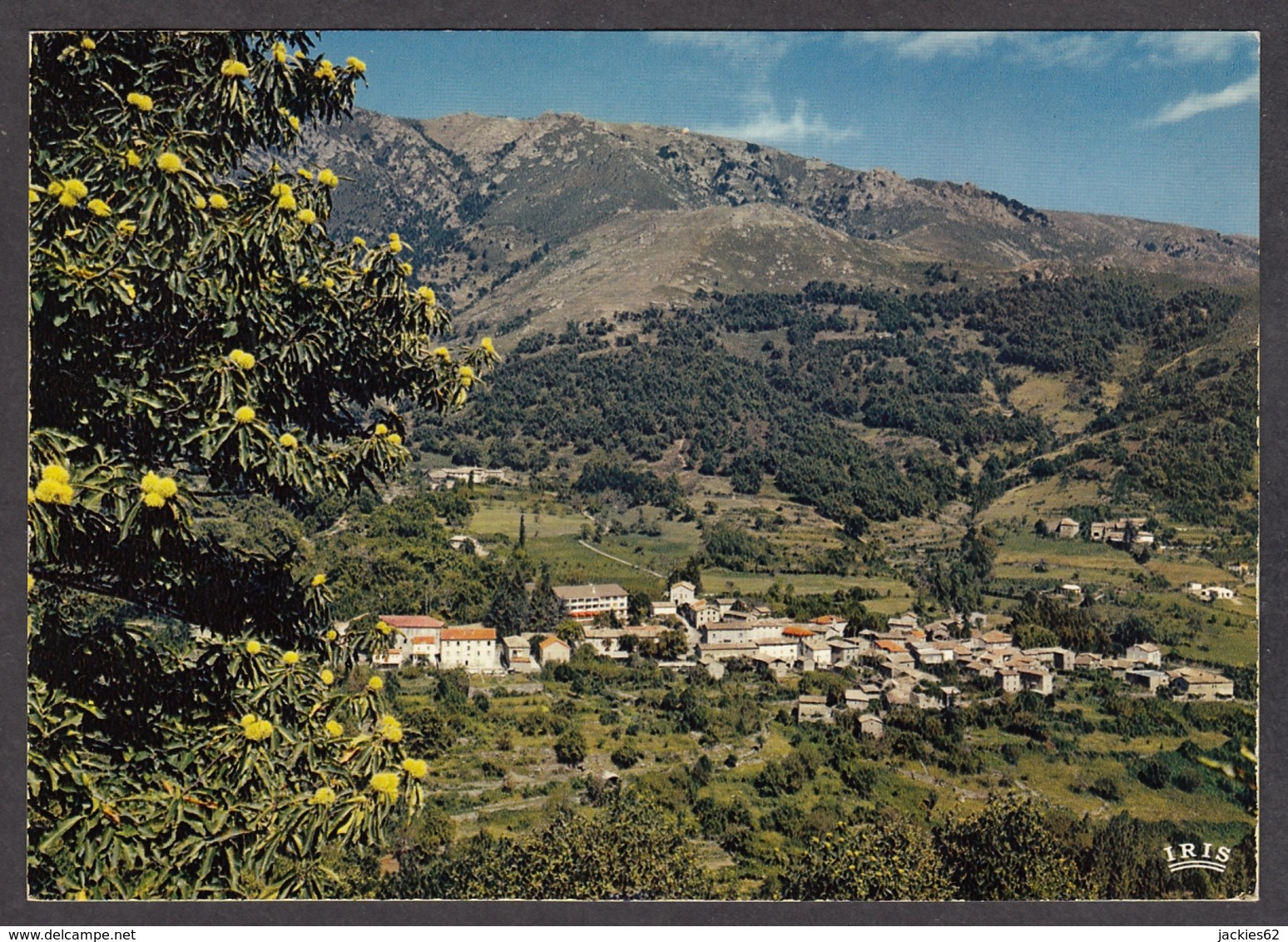 99503/ VALGORGE, Vue Générale - Autres & Non Classés