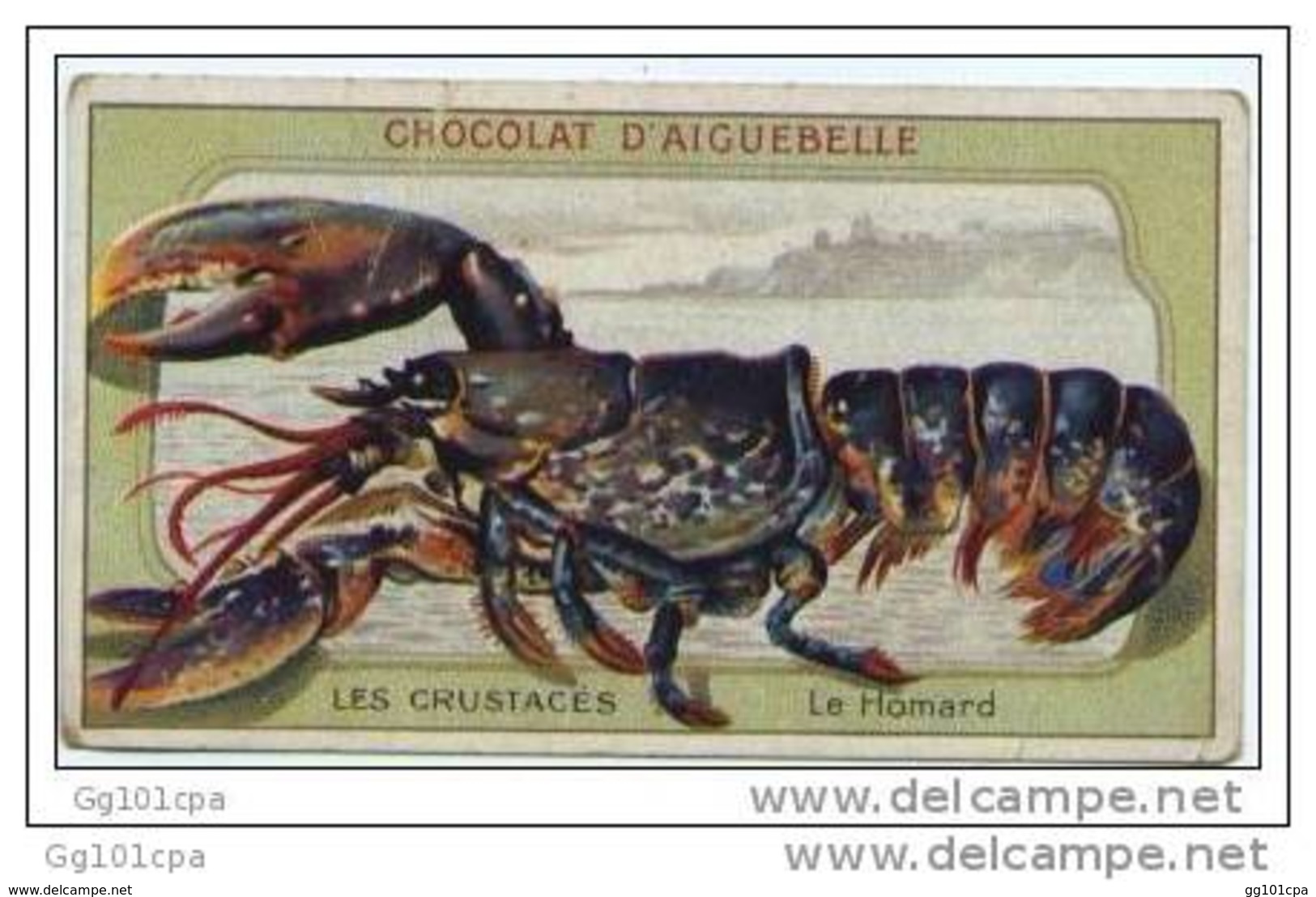 Chromo Chocolat Aiguebelle Les Crustacés "homard"  Texte Au Dos 6 X 10.4 Cm - Aiguebelle