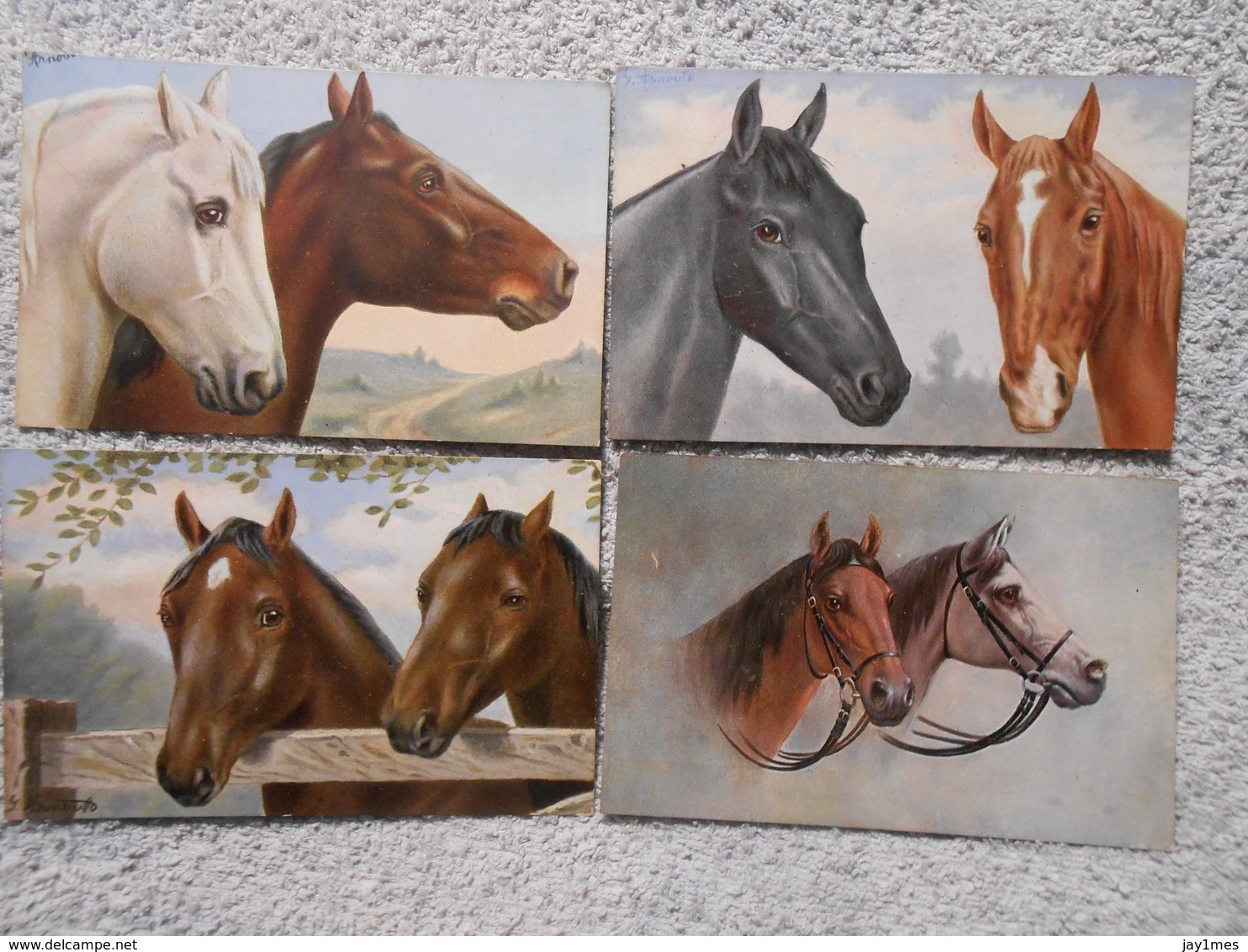 5  Cpa Pferd / Horse / Cheval Illustrateur - Paarden