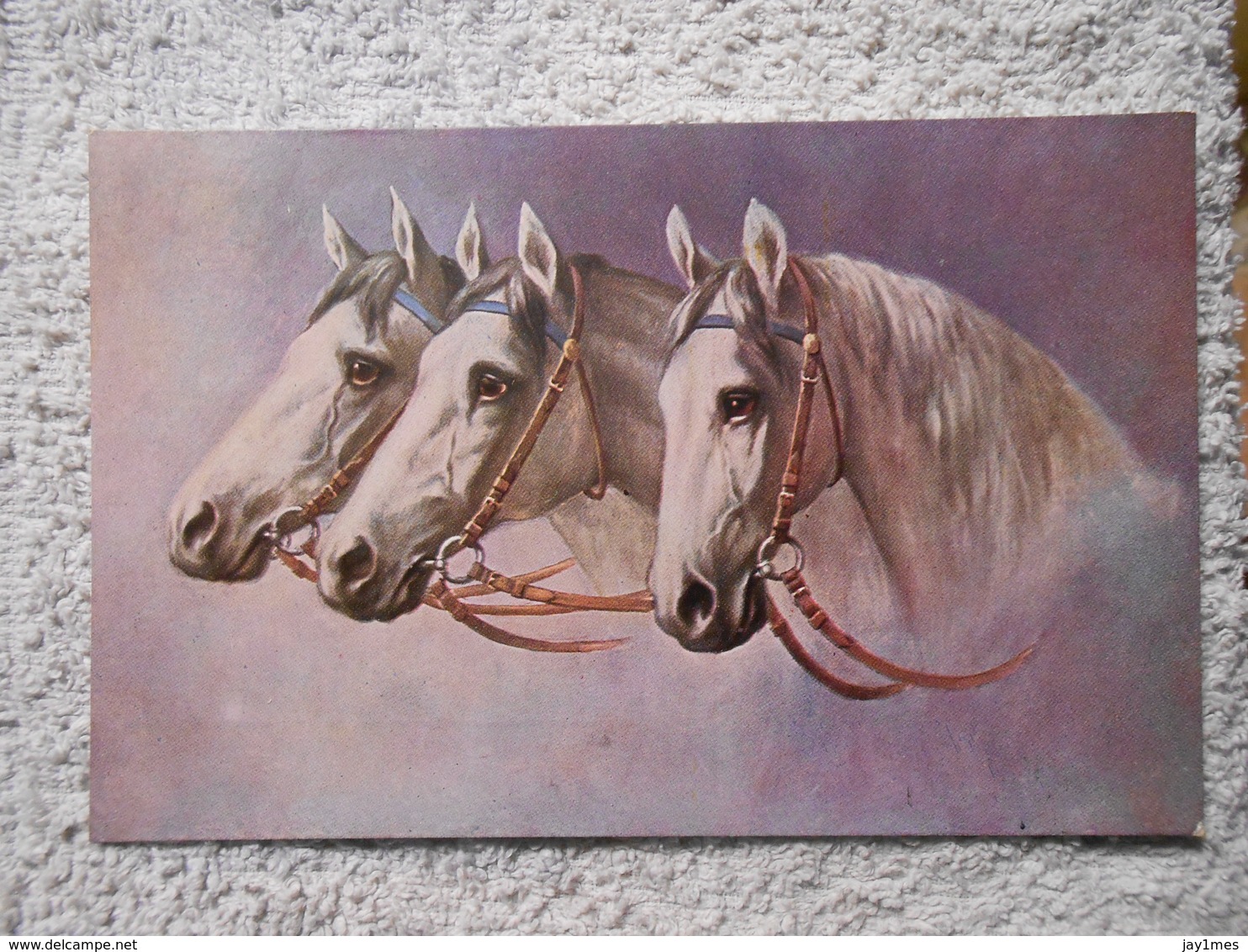 5  Cpa Pferd / Horse / Cheval Illustrateur - Chevaux