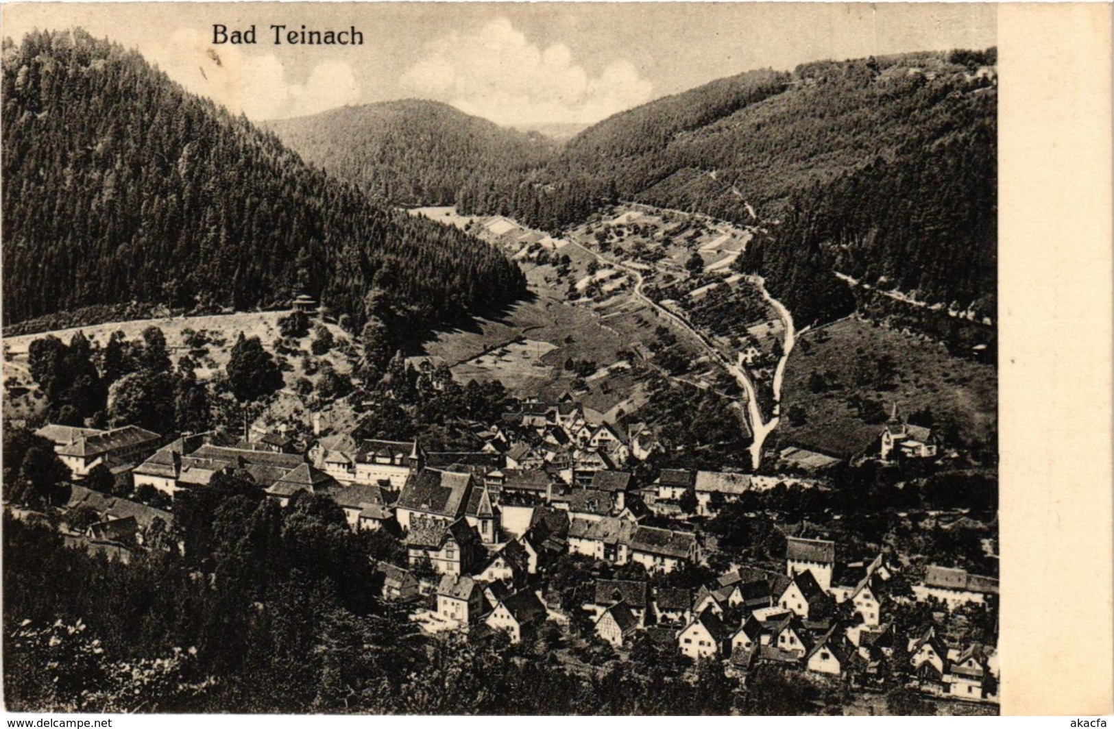 CPA AK Bad Teinach GERMANY (937015) - Bad Teinach