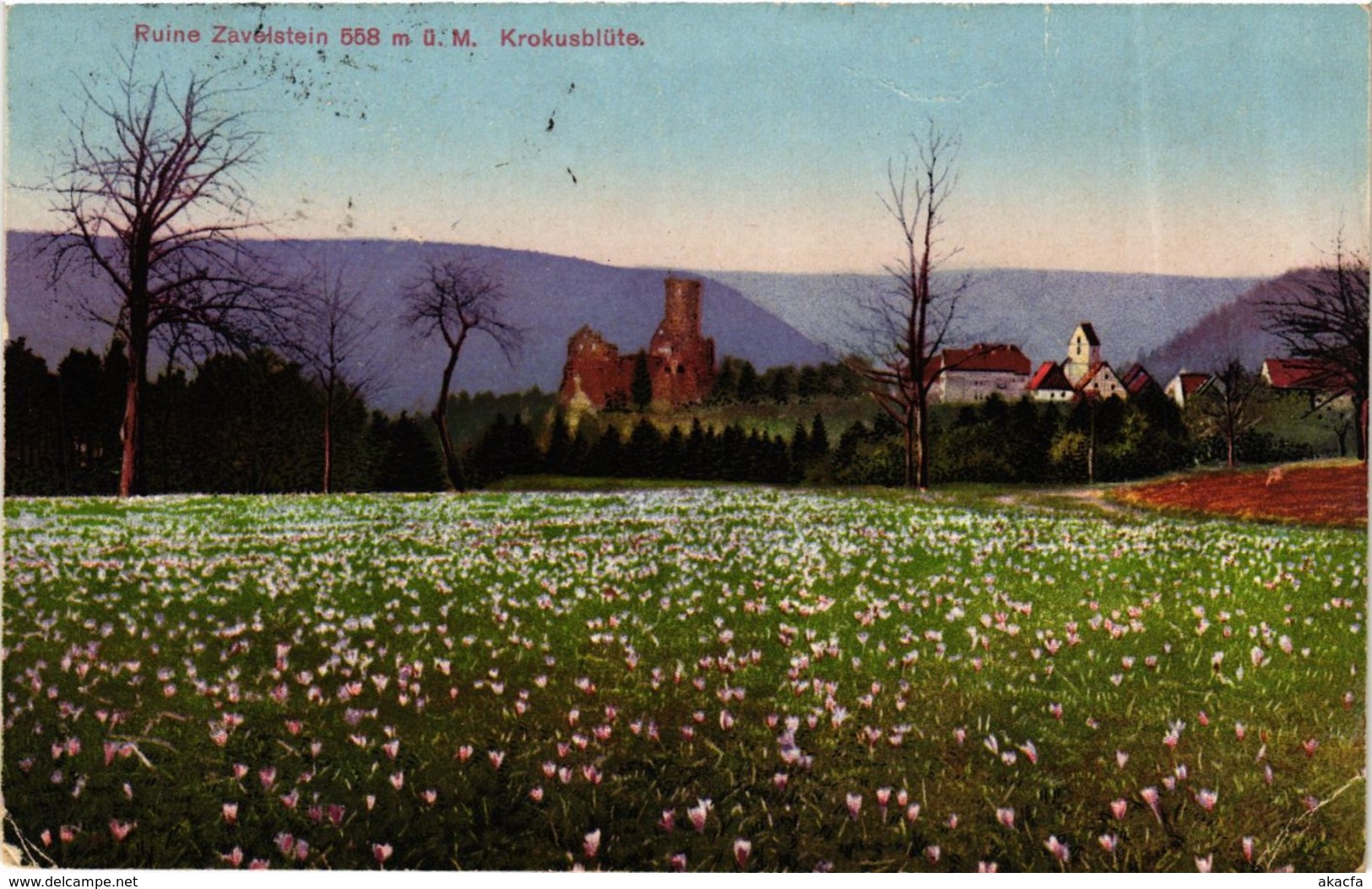 CPA AK Bad Teinach Ruine Zavelstein GERMANY (937034) - Bad Teinach