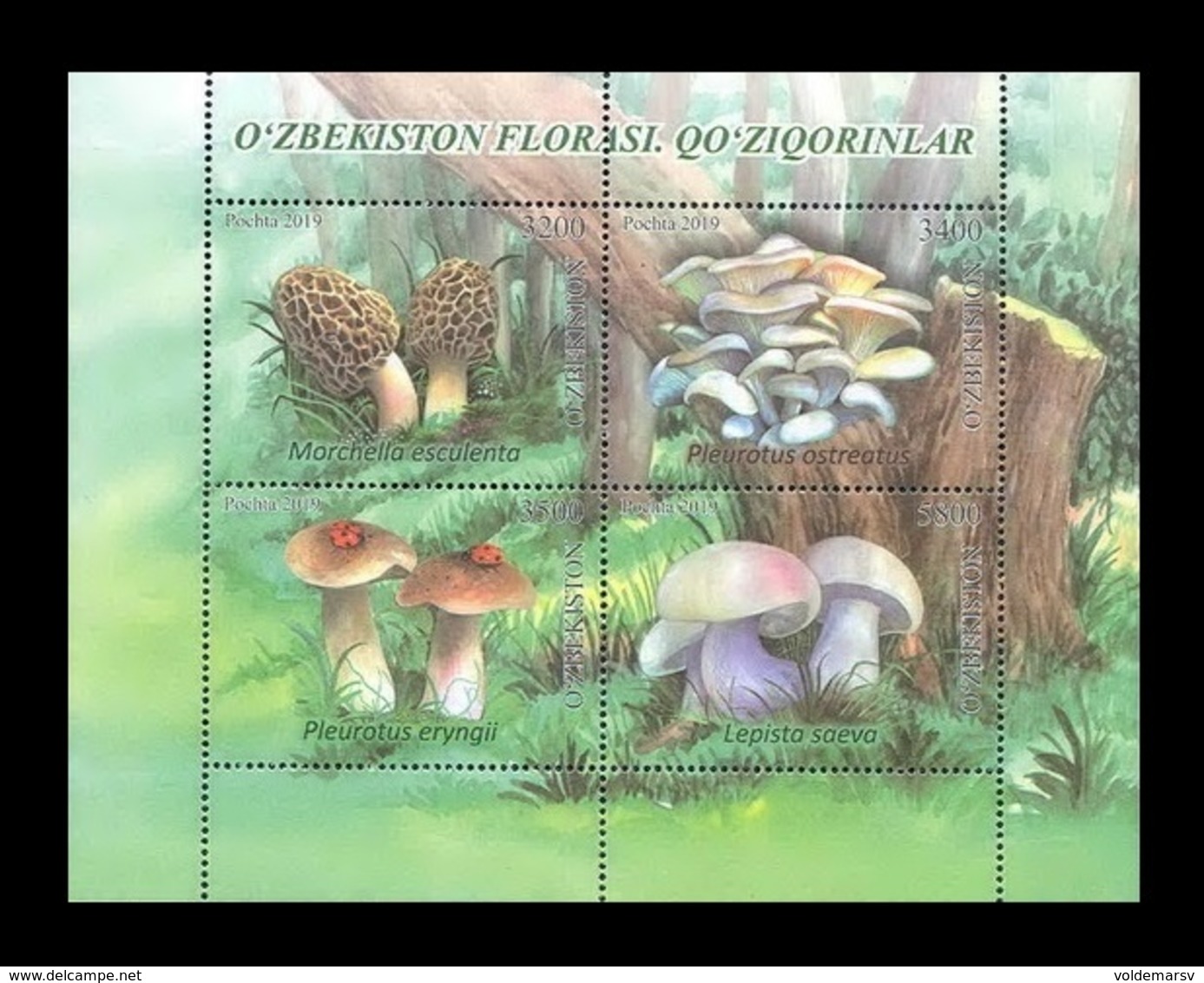 Uzbekistan 2019 Mih. 1398/401 (Bl.101) Flora. Edible Mushrooms MNH ** - Uzbekistan